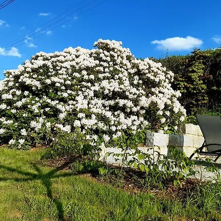 招待所 Penzion Pod Sudem - Stylove Apartmany V Laznich Libverda Lázně Libverda