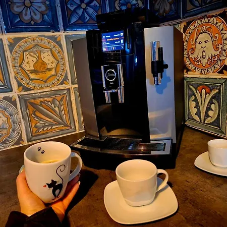 Penzion Pod Sudem - Stylove Apartmany V Laznich Libverda 招待所 Lázně Libverda