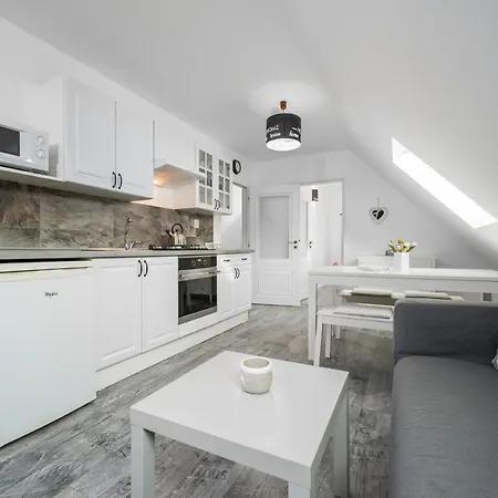 招待所 Penzion Pod Sudem - Stylove Apartmany V Laznich Libverda 3*