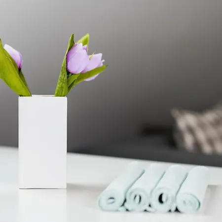 招待所 Penzion Pod Sudem - Stylove Apartmany V Laznich Libverda 3*