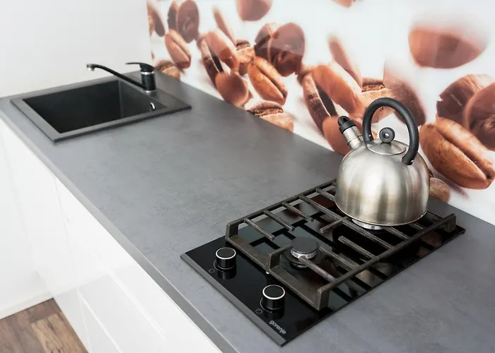 Casa de hóspedes Stylové apartmány se zahradou - Lázně Libverda 3*