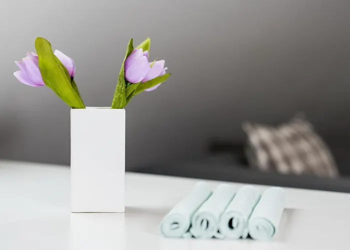 Casa de hóspedes Stylové apartmány se zahradou - Lázně Libverda 3*